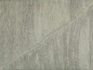 Totalne zagrożenie, 1980