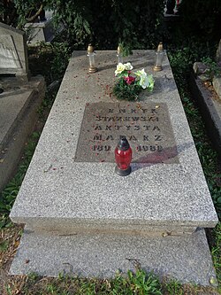 هنريك ستازيفسكي